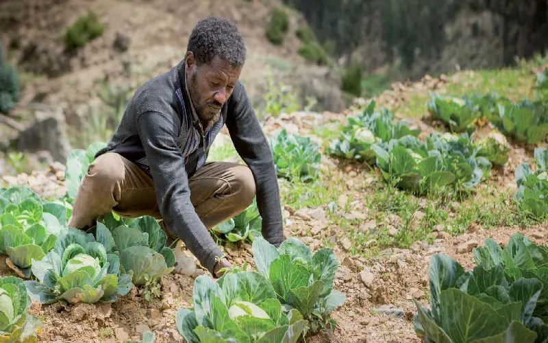 Bénéfices agroécologiques