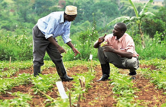 Formation en agroécologie