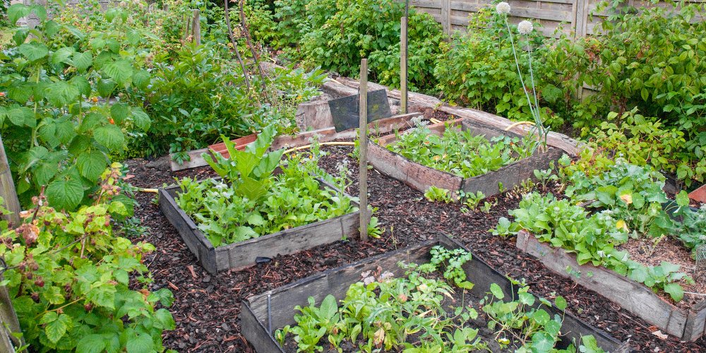 Permaculture